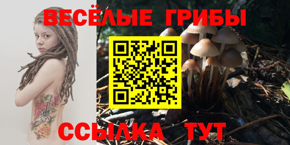 Псилоцибиновые грибы мицелий Малоярославец